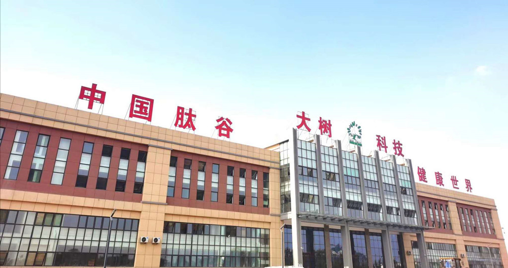 1abb7ac36eb270d6b6a7c646639f774 (1)_副本.jpg